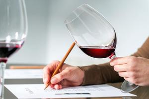 Описание результатов исследований красного вина