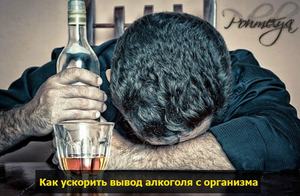 Как вывести алкоголь 
