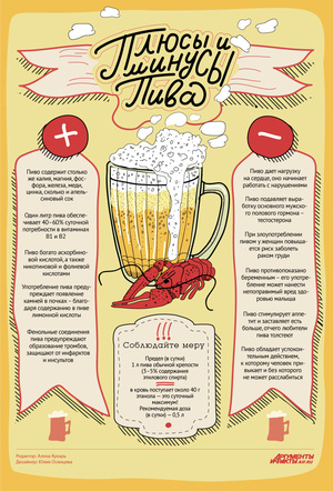 Как пить пиво в целях похудения