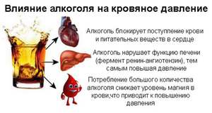Изображение - Какой алкоголь понижает артериальное давление kakoy_alkogol_povyshaet