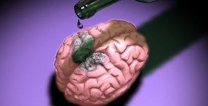 Какими методами восстановить клетки мозга
