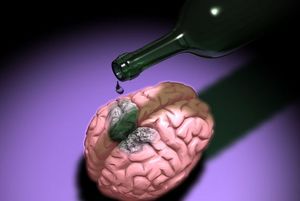 Влияние алкогольных напитков на мозг